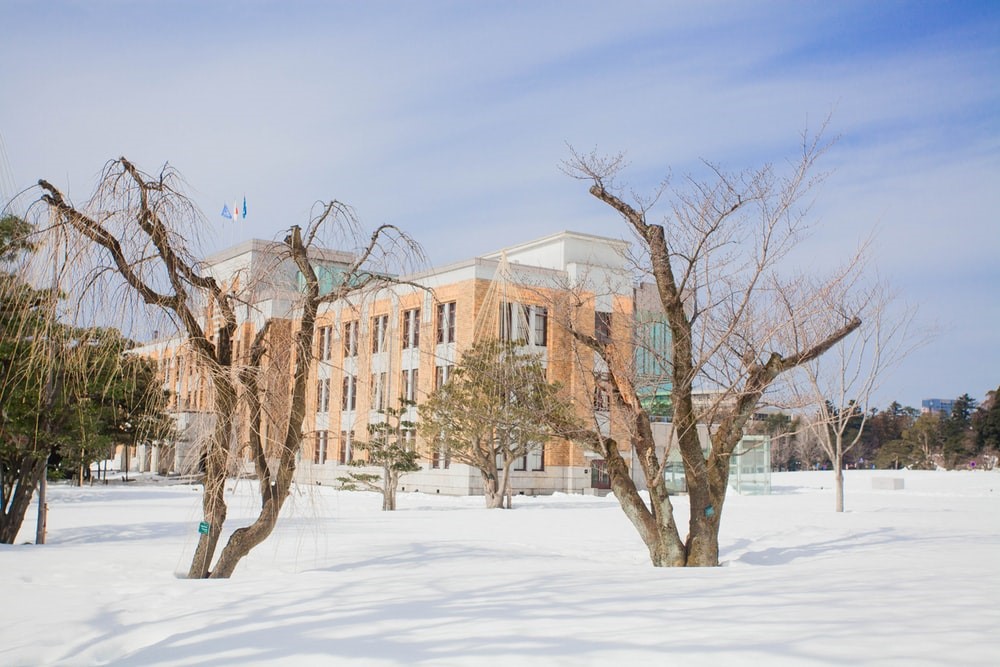 Why Do Schools Close When It Snows and Others Stay Open?